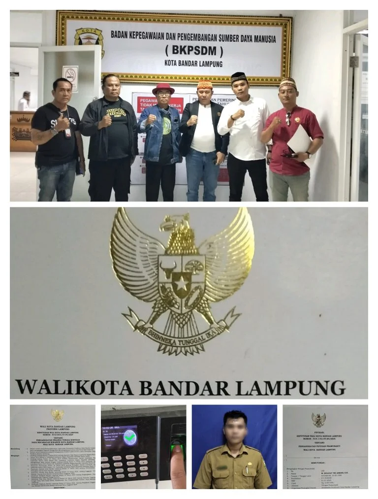 IMG_20260211_164417-768x1013-1