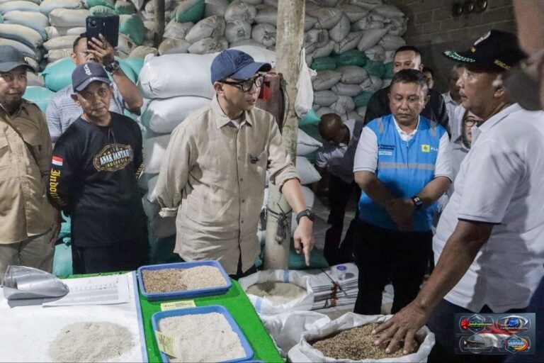 temp_8588839554.jpg